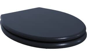 Benita Soft Close Toilet Seat - Indigo Ash