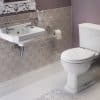 Sherbourne BTW WC & Satin White Wood Effect Seat - Image 3